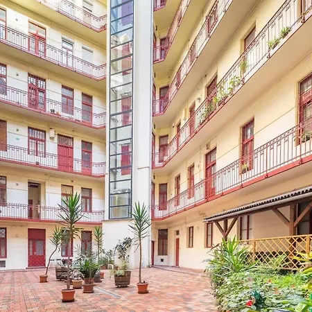 - Cute And Comfy Daire